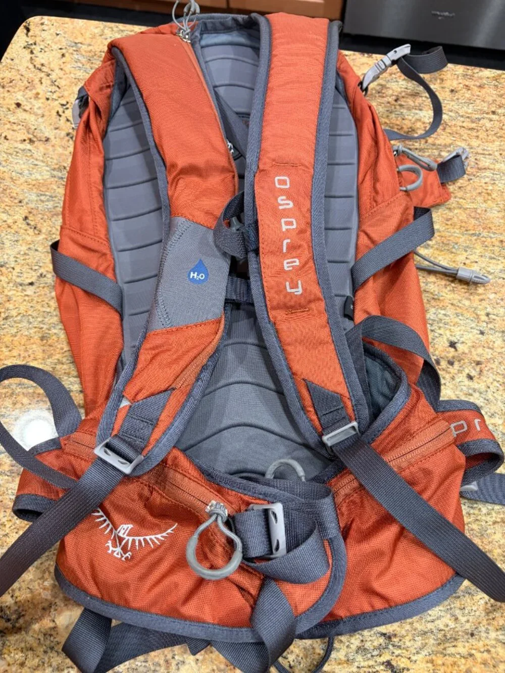 Osprey Kode 22L Backpack EUC Hiking Skiing Traveling